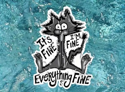 I'm Fine, Everything's Fine'' Sticker Decal, Suitable for any smooth surface