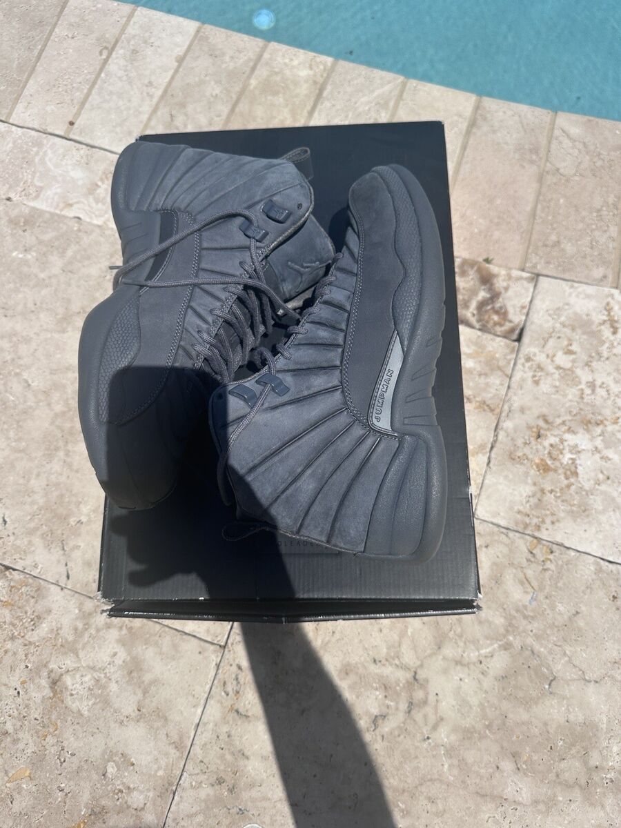 Size 11 - PSNY x Air Jordan 12 Retro Dark Grey 883419795848 Size 11 - PSNY x Air Jordan 12 Retro Dark Grey 883419795848