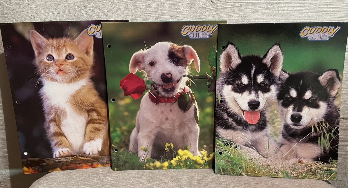Vintage CUDDLY CUTIES Plymouth 2-Pocket Folders 2001 Kitten Puppy