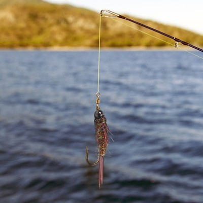 Angelköder Set Insektenköder Fliegennymphe Steinfliegenköder Attraktiver Fisc