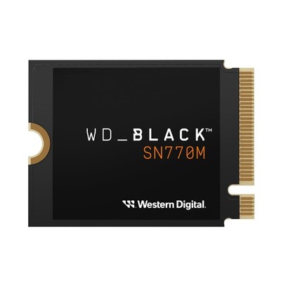 WD_BLACK 1TB SN770M M.2 2230 NVMe SSD for Handheld Gaming Devices, Speeds up ...