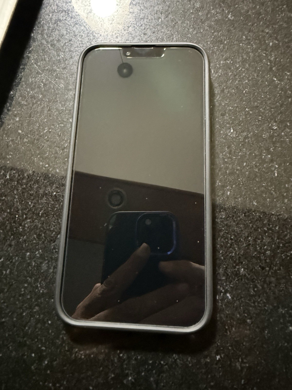 Apple iPhone 13 Pro Max 100% Batteria Smartphone Telefono Verde Alpino
