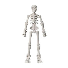 Plastic Mini Posable Skeleton Figurines DIY Joints Halloween Party Decor