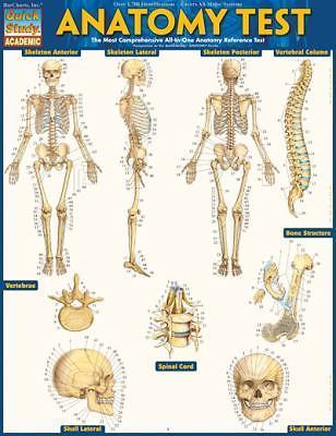 Anatomy Test - 1423223543, hardcover, Inc BarCharts, new