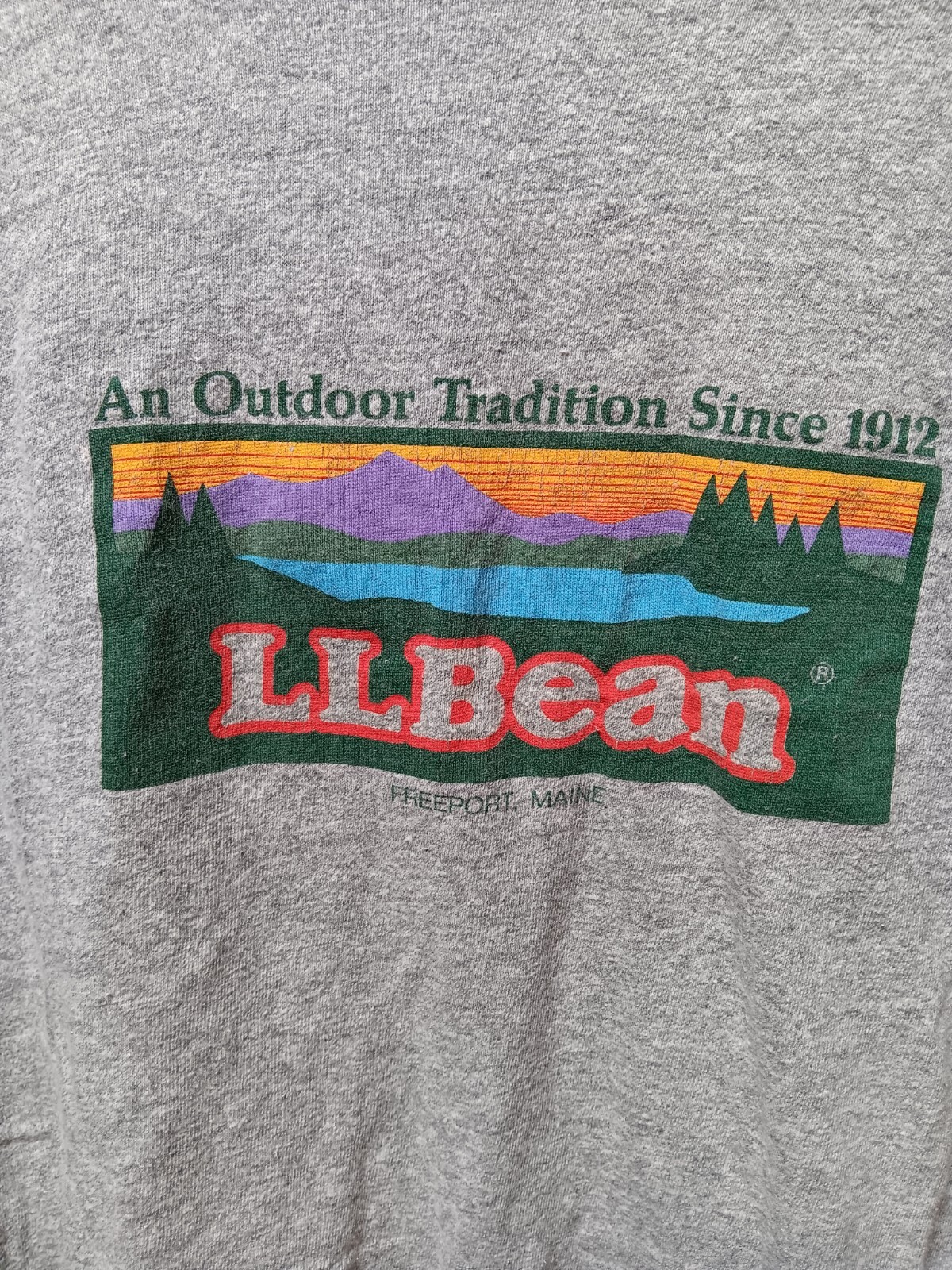Vintage 80s Single Stitch Champion LL Bean T Shirt Gr… Gem