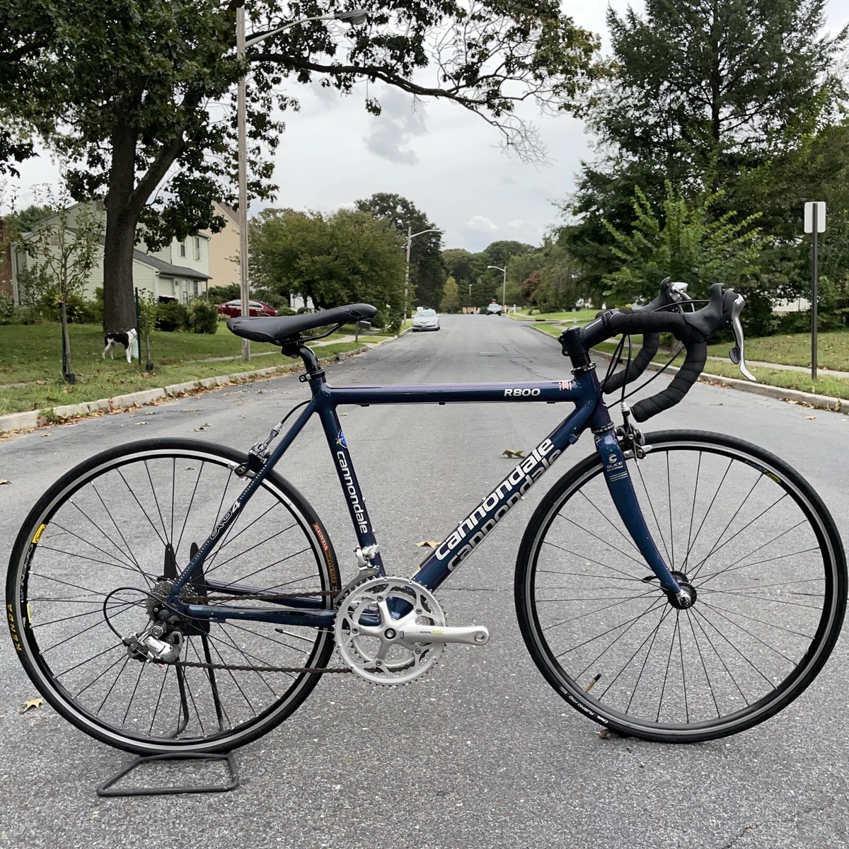 Cannondale top 800 bike