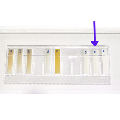 ENA HRi IW Smalto Composito Dentale Bianco Intensivo - Exp 2 giorni SPEDIZIONE GRATUITA USA - Foto 3 di 4