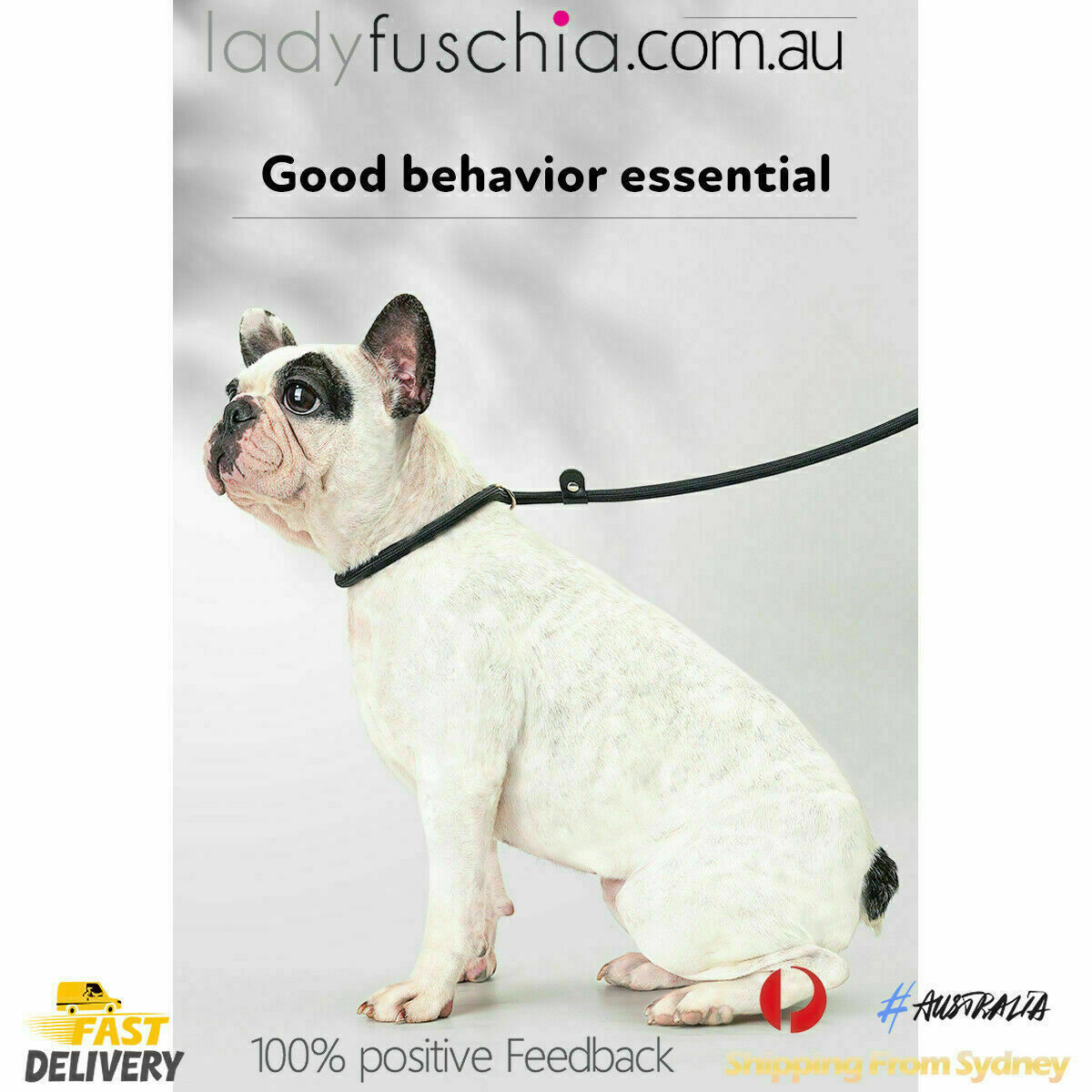 Cesar Millan Dog Puppy Training Correction Leash Slip Lead Pets