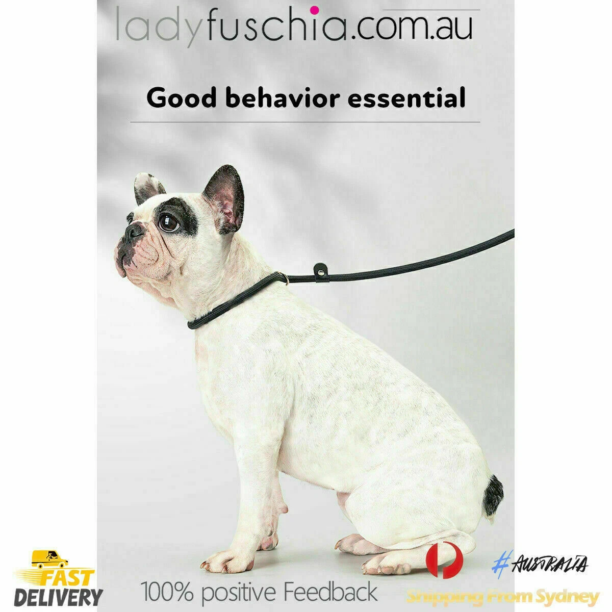 Cesar Millan Dog Puppy Training Correction Leash Slip Lead Pets Nylon Rope New P