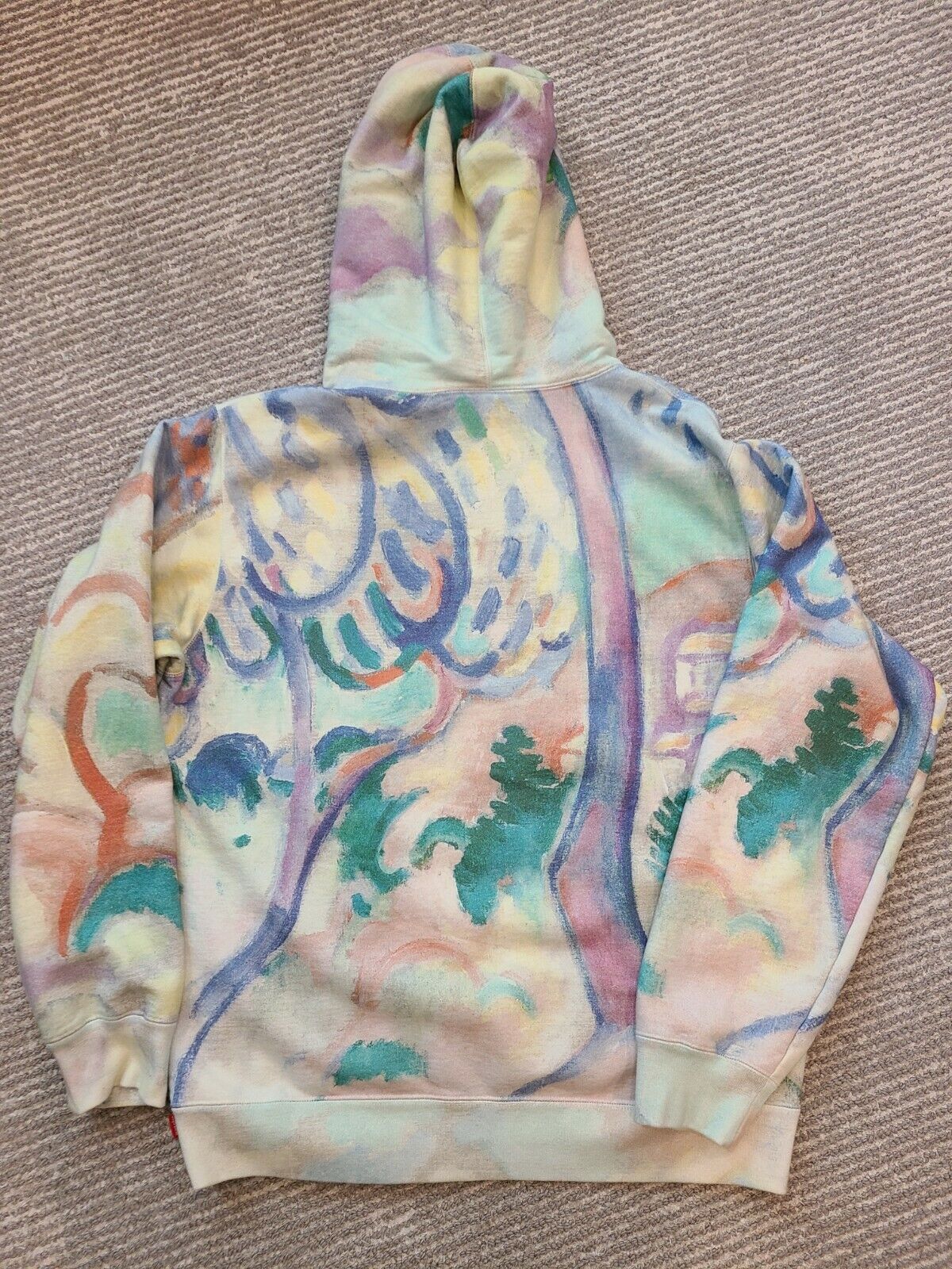 PRE-OWNED Supreme Landscape Hoodie Large (L) S/S 2018