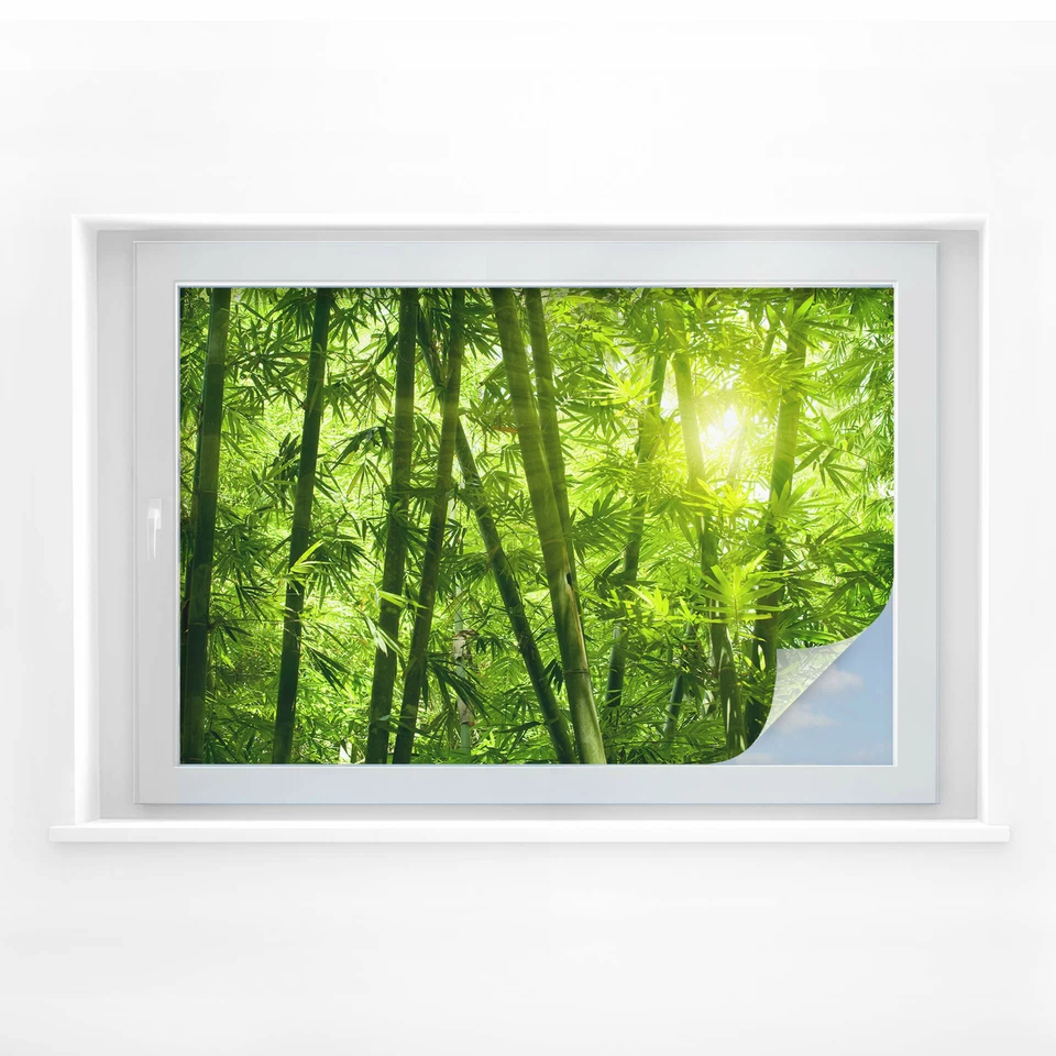 Sichtschutzfolie Sonnenschein im Bambuswald Hingucker für Ihre Fenster Duschwand - Bild 1 von 2