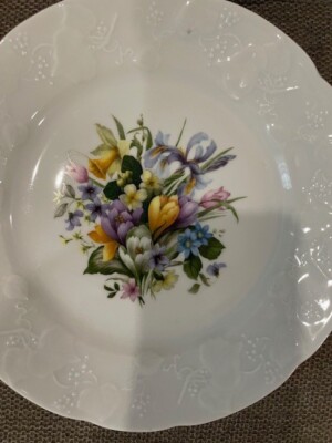 LIERRE SAUVAGE CNP France Spring Flower 8'' Vintage Plates Rare (4