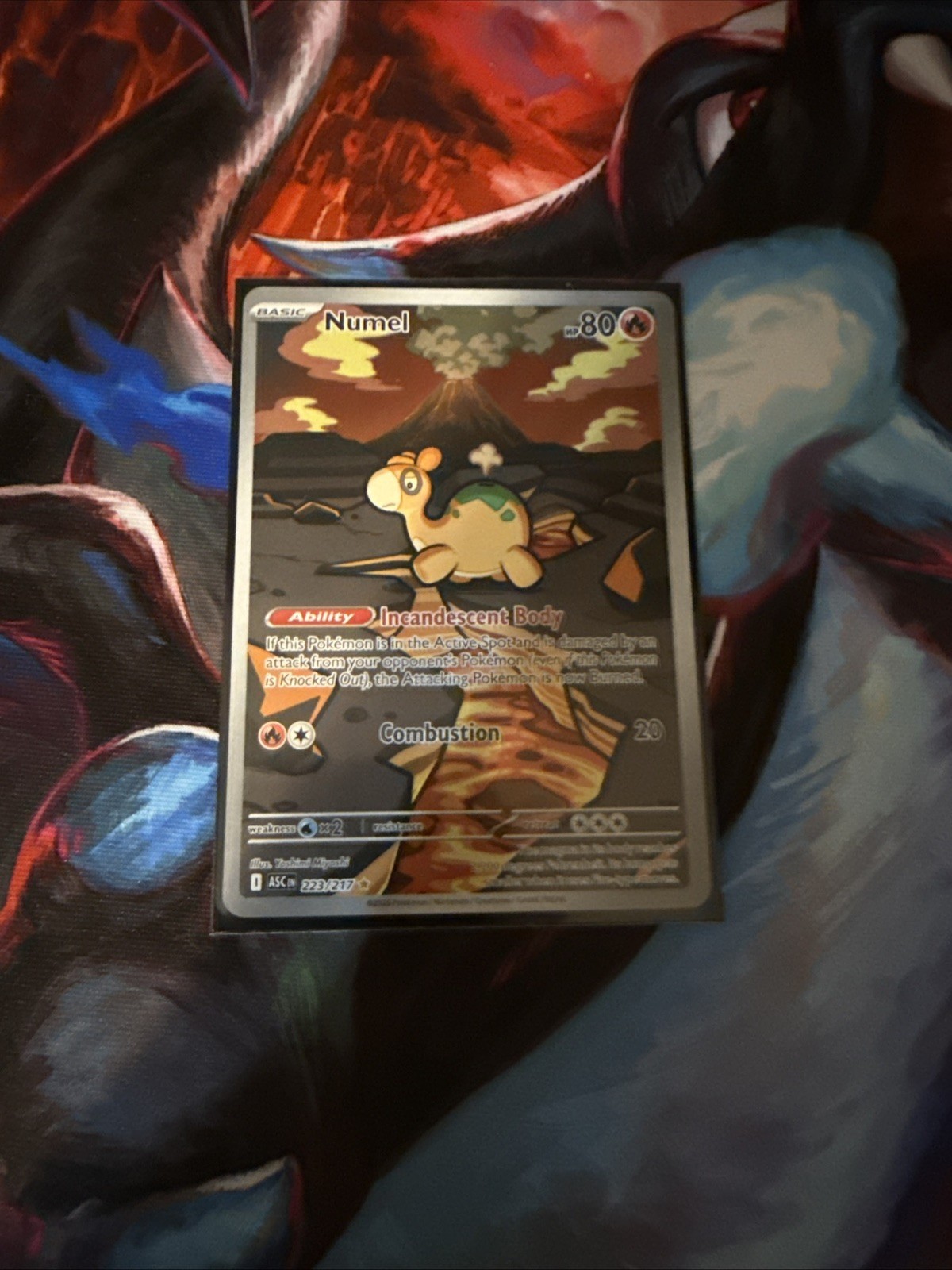 Numel 223/217 Illustration Rare Ascended Heroes