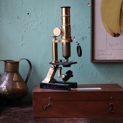 Antikes Messing Feldmikroskop im original Mahagoni Koffer - wissenschaftliches Instrument