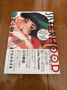 Little Thunder | eBay