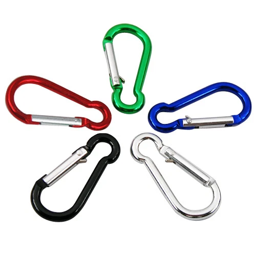 Carabiner + Keyring