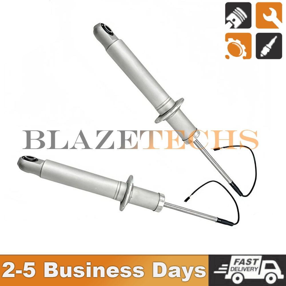 Maserati GranTurismo 2013-2016 Rear Right Dampers 2 pcs P/N 286946