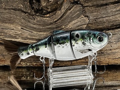 Custom Painted Nasty Shad Swimbait