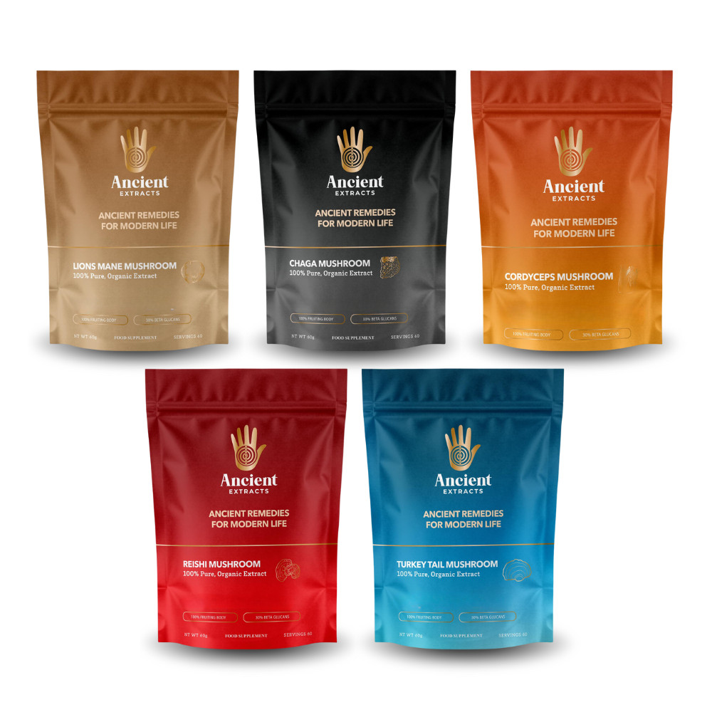 Mushroom Extract Bundle - Lions Mane, Chaga, Cordyceps, Reishi, Turkey - 5 pack
