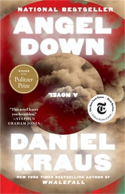 Angel Down (Paperback or Softback)