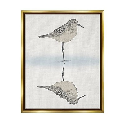 Soothing Sandpiper Bird Standing Ocean Shoreline Reflection Floating Framed W...