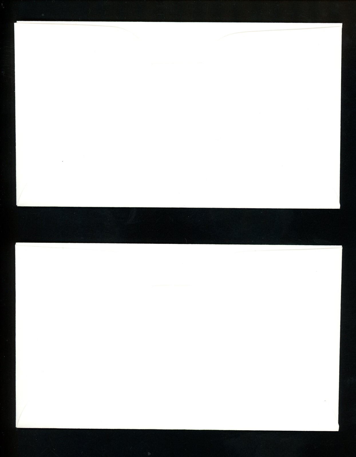 Picture 10 of 10