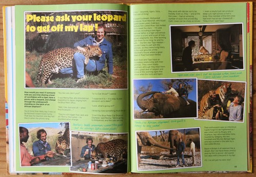 Blue Peter Nineteenth Book - 1982 - BBC TV - Intact - Price Unclipped - Picture 18 of 19