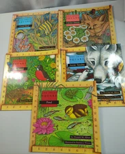 5 ONE SMALL SQUARE by Donald Silver Nonfiction Pond, Desert, Backyard, Tundra PB