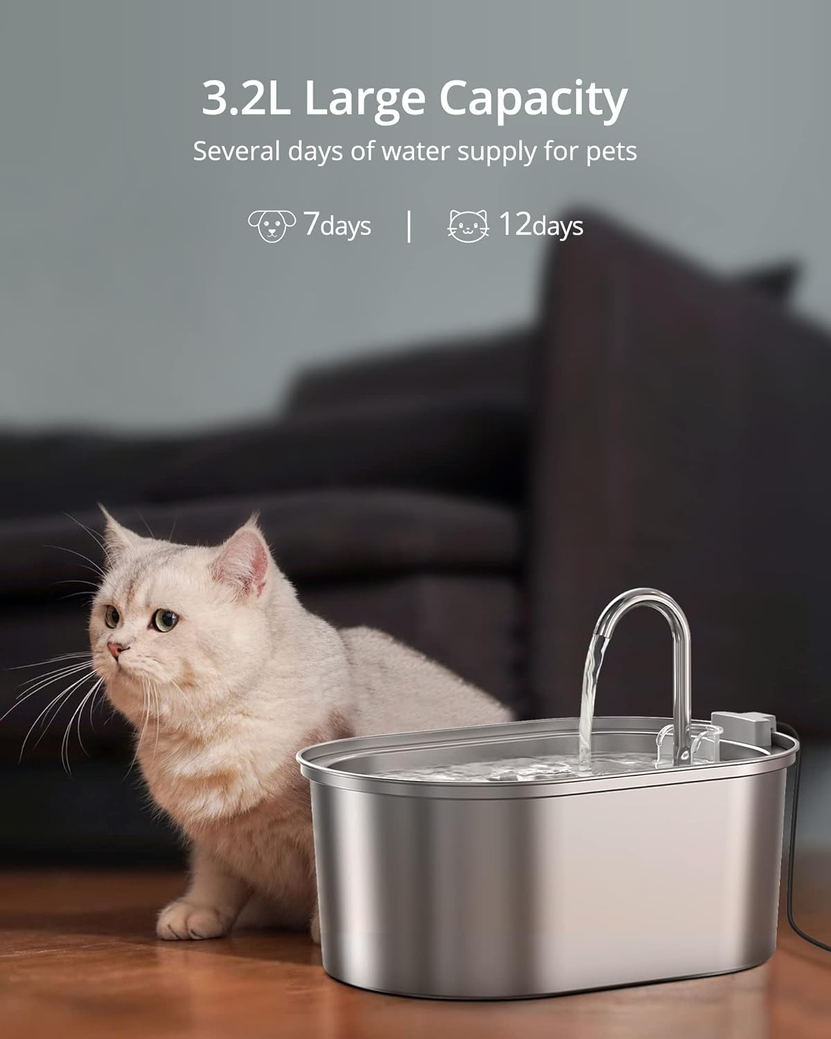 Fontanella Gatti 3,2L Acciaio Inox + 4 Filtri Carbone - Idratazione Top - 2