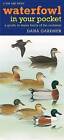 Waterfowl in Your Pocket: A Guide to Water Birds of the Midwest by Dana Gardner (Book, 2008)