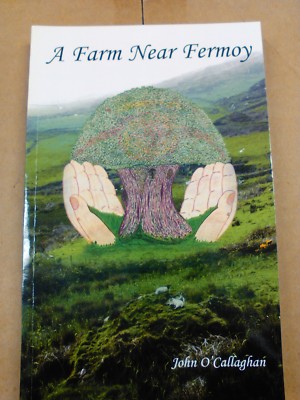 A Farm Near Fermoy By John O'Callaghan
