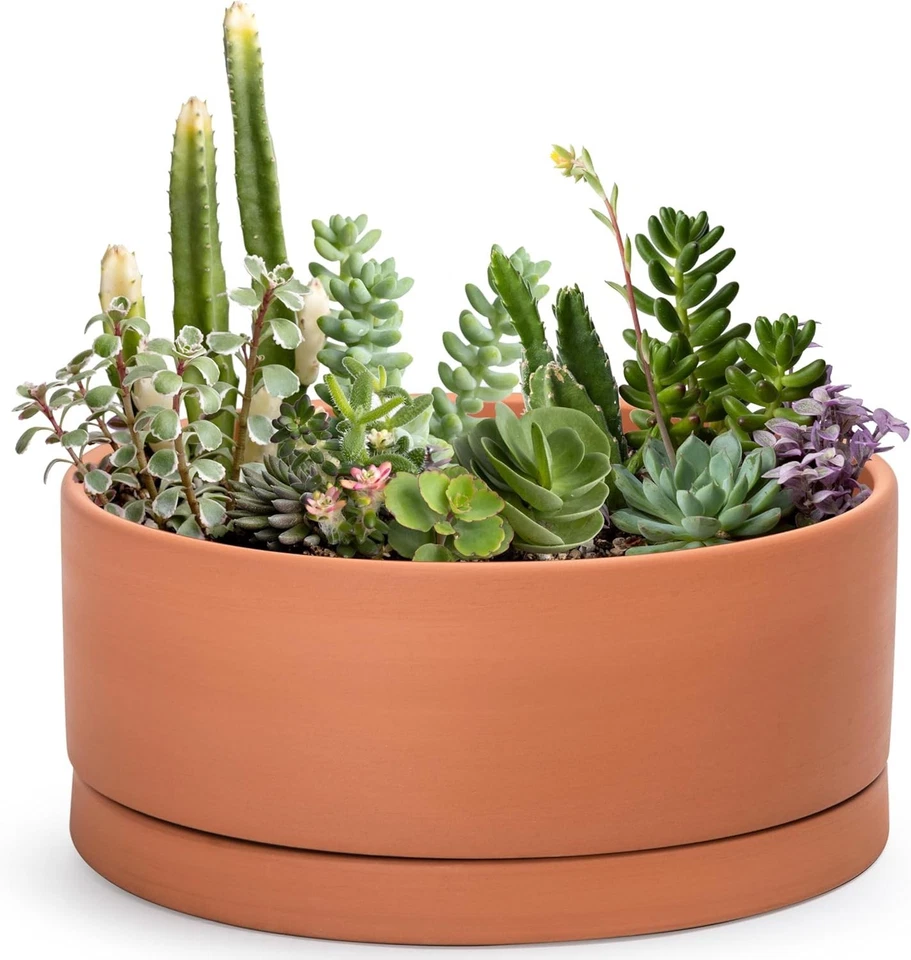 Handcrafted 12-Inch Round Terracotta Planter Pot with Drainage Hole and Saucer - Image 3 of 4