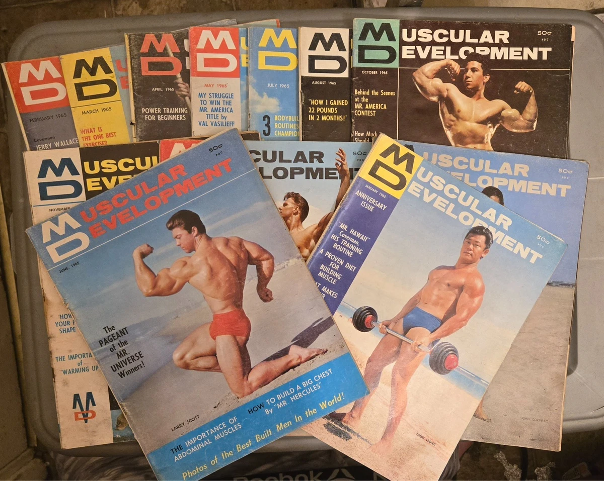 25+ Muscle Fitness Magazine for sale | Updated Oct 2026