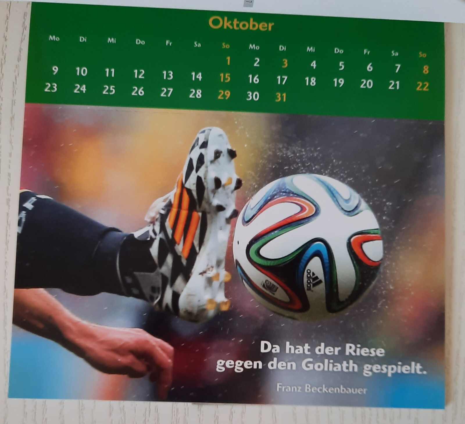 Bild 7 von 12