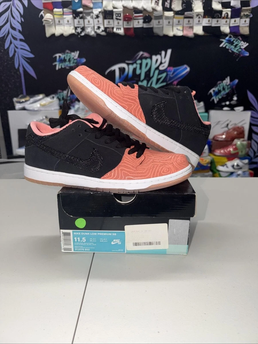 Preços baixos em Nike Premier x Dunk Pro SB Low Fish Ladder | eBay
