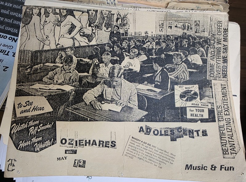 Adolescents + Oziehares Whisky a Go Go TC PUNK FLYER