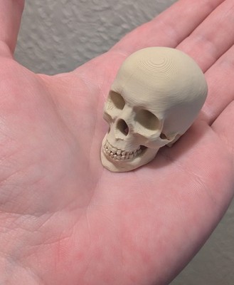 2  Mini Skull   3-D Printed PLA   Desk Figure, Halloween Decor, RPG Terrain USA