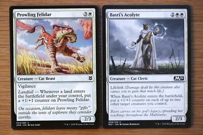 mtg cards like crawlspace Amazon.com: Arcane Alterations Custom Proxy Collectible Card - Displacer  Kitten Altered Art