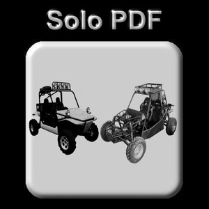 joyner 250cc buggy parts