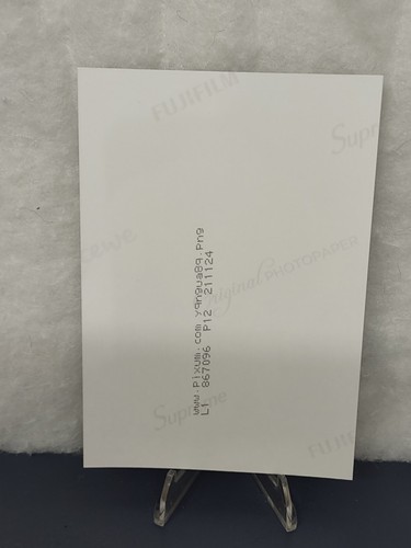 3,5x5 Zoll Reprint Foto - Rückansicht des muskulären Körpermodells - Gay Interest - Bild 2 von 4