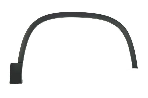 Right Front BLIC 5703-08-9548372P Trim/Protection Strip, wing for VW