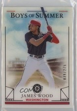 2024 Panini Boys of Summer 39/275 James Wood #42 1co7