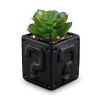 Fake Succulents Plants Artificial with Question Pattern Black Ceramic Pot for.