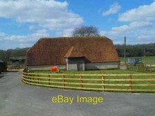 Photo 6x4 Unusual sporty animal on Avington Manor Farm She's kitted c2013