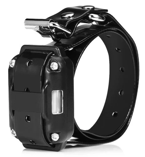 1000M Erziehungshalsband mit Vibration Ton e-Shock Hund Ausbildung Stromschlag - Bild 11 von 18