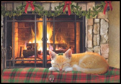Greeting Card - Cat Kitten - Giordano Studios - Christmas CL031