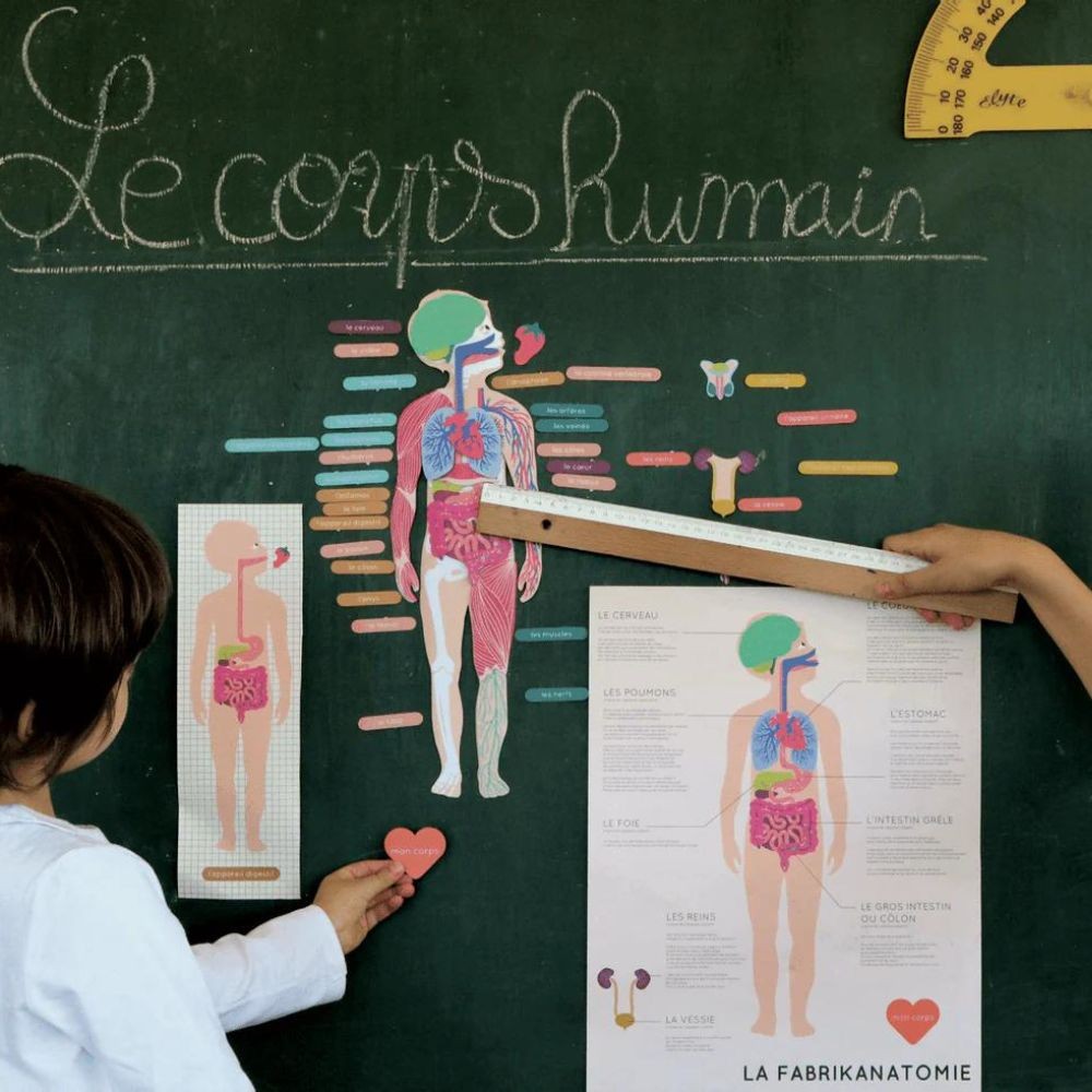 Magnets Le Corps Humain - Idée Cadeau Anniversaire Enfant 6 Ans Jeu Scientifique Bois