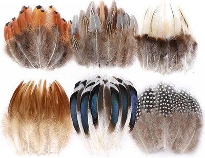 Natural Pheasant Craft Feathers - 240 pcs 6 Style Mixed 6 inches, 