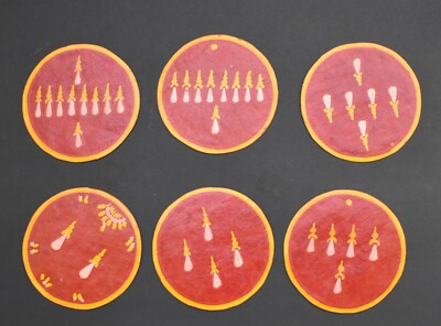 Ganjifa India Moghul playing cards 13 2.5