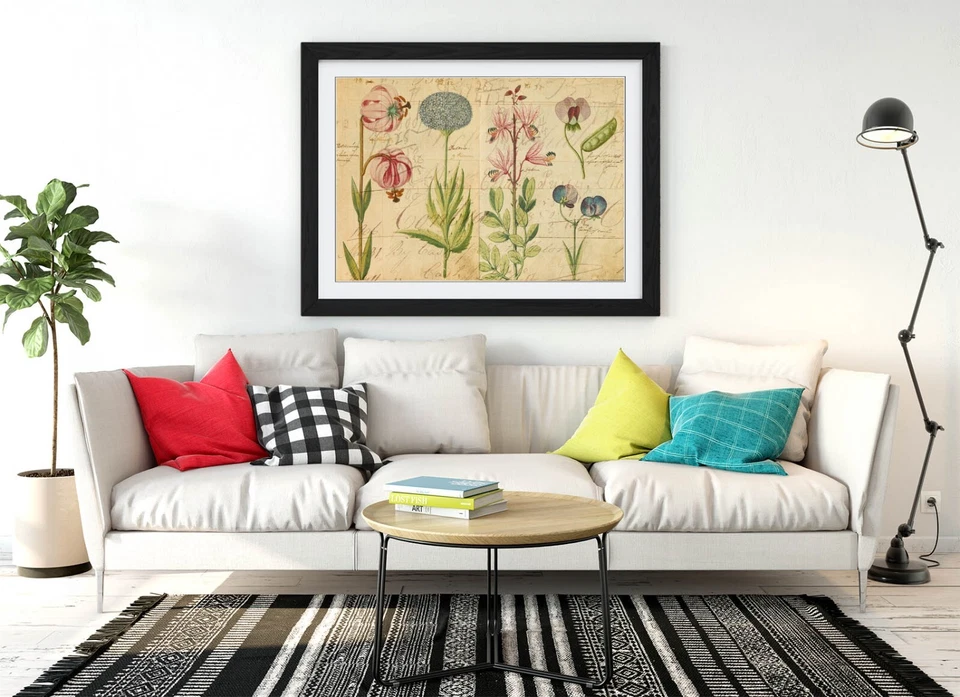VINTAGE BOTANICAL FLOWER ILLUSTRATIONS DECOR FRAMED ART POSTER PIC PRINT 4 SIZES - image 4 of 4